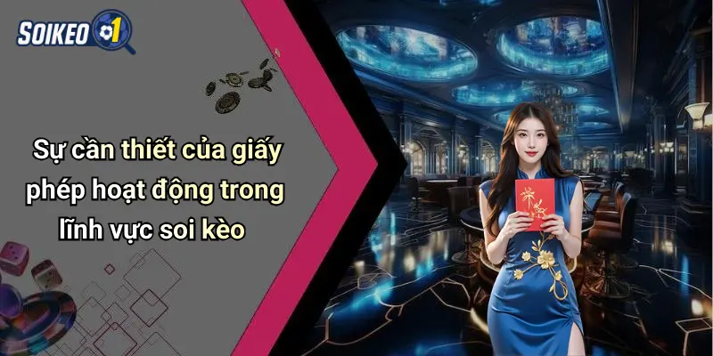 Sự cần thiết của giấy phép hoạt động trong lĩnh vực soi kèo