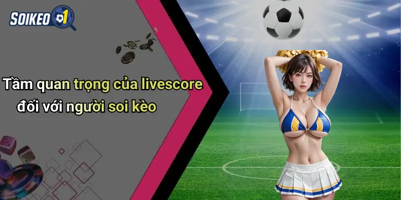 Tầm quan trọng của livescore đối với người soi kèo