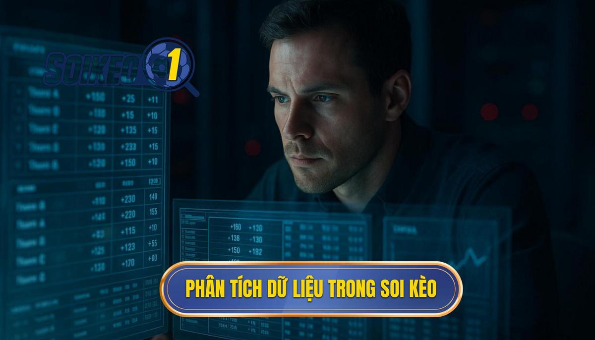 Phân tích dữ liệu định lượng và định tính trong soi kèo