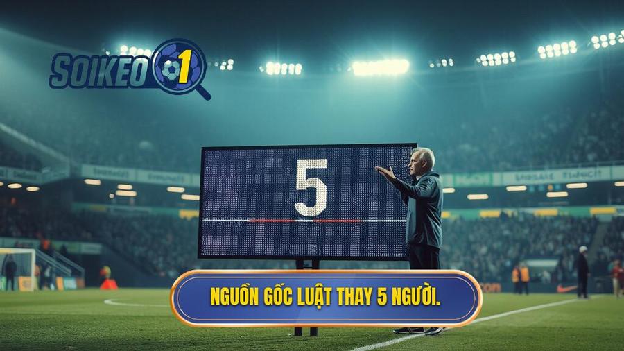 1. Nguồn gốc luật thay 5 người.