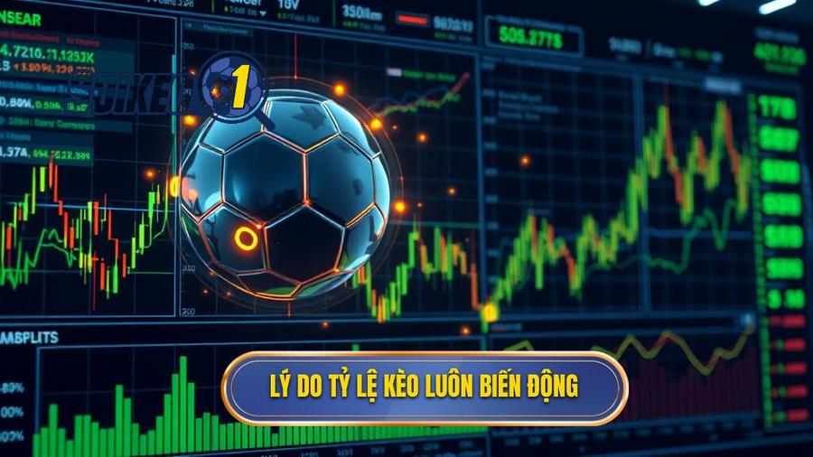 Phân tích đa chiều: Tại sao tỷ lệ kèo bóng đá trực tuyến luôn biến động?